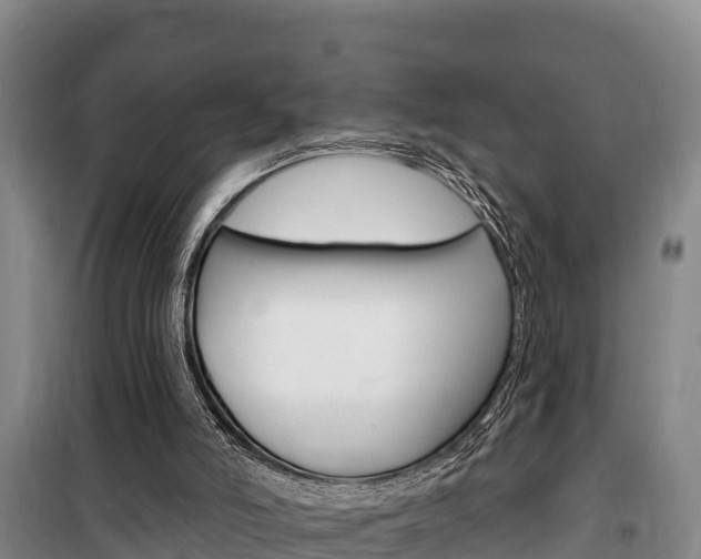 X0000100360006200806060833