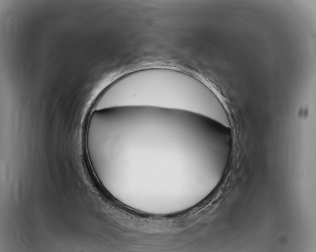 X0000100360008200806060833