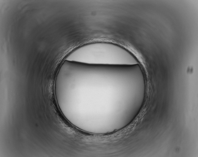 X0000100360009200806060833