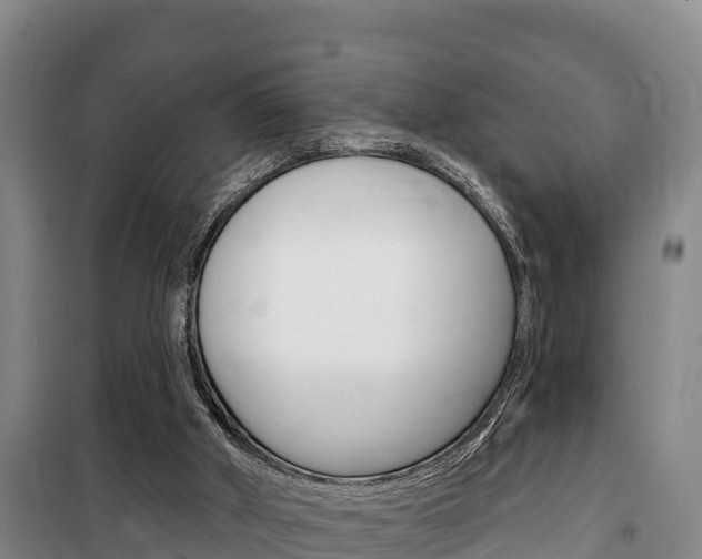X0000100360010200806060833