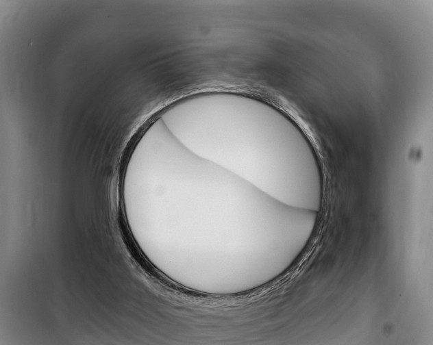X0000100360011200806060833