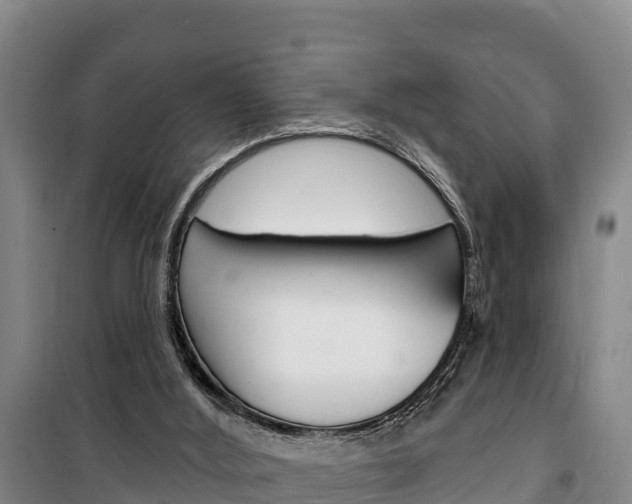 X0000100360012200806060833
