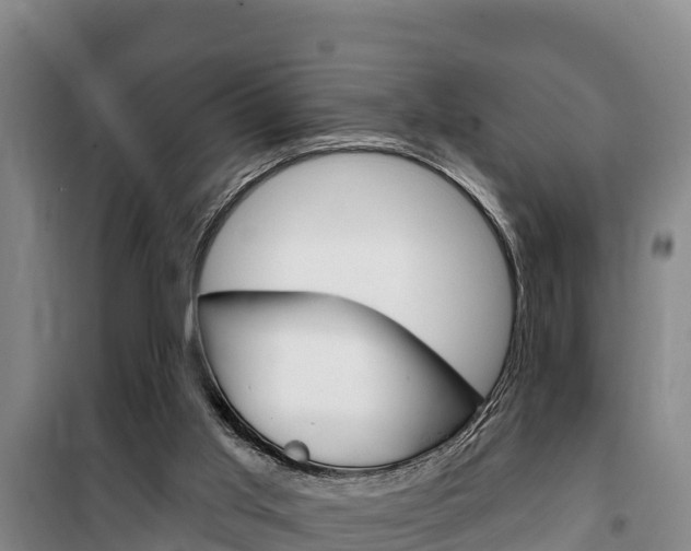 X0000100360013200806060833
