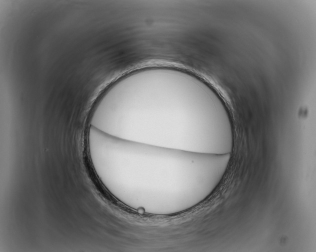 X0000100360015200806060833
