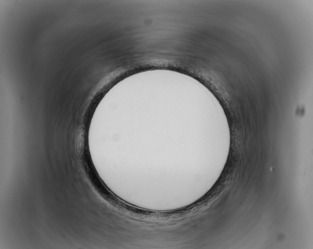 X0000100360016200806060833