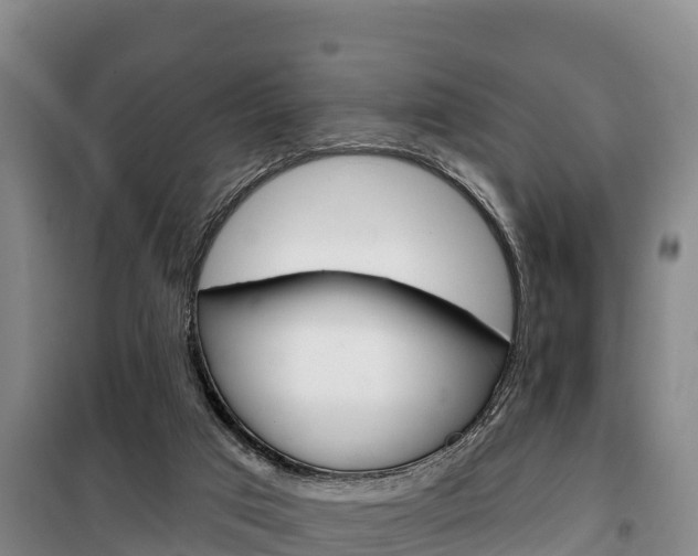 X0000100360017200806060833