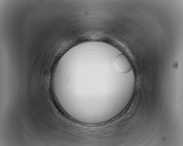 X0000100360018200806060833
