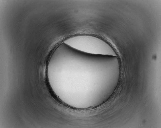 X0000100360019200806060833