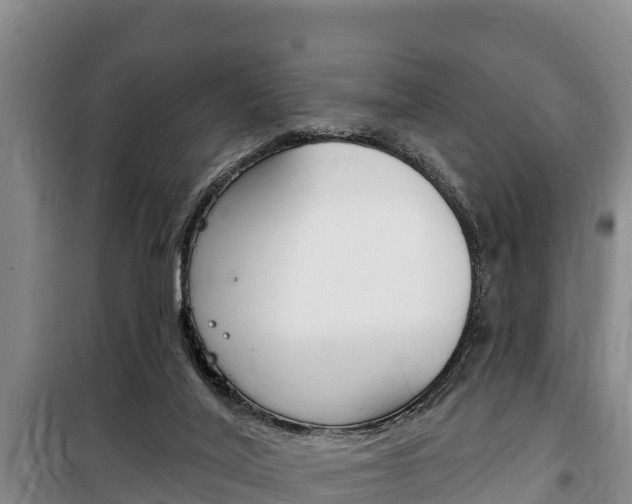 X0000100360020200806060833