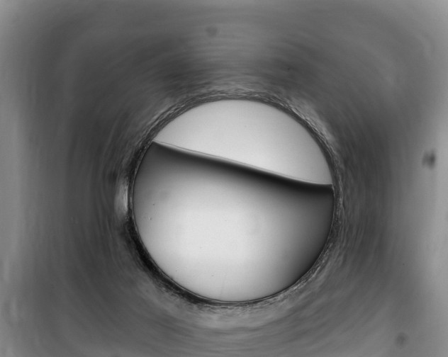 X0000100360021200806060833