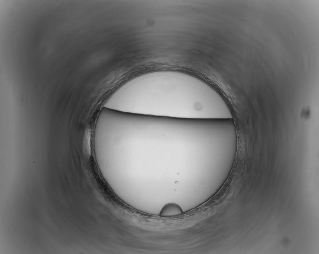 X0000100360022200806060833