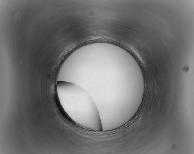 X0000100360023200806060833