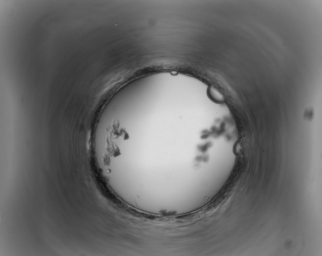 X0000100360024200806060833