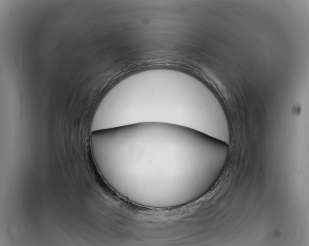 X0000100360025200806060833