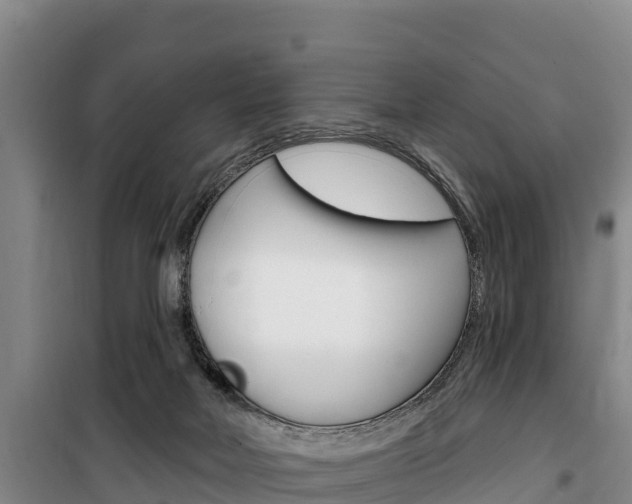 X0000100360026200806060833