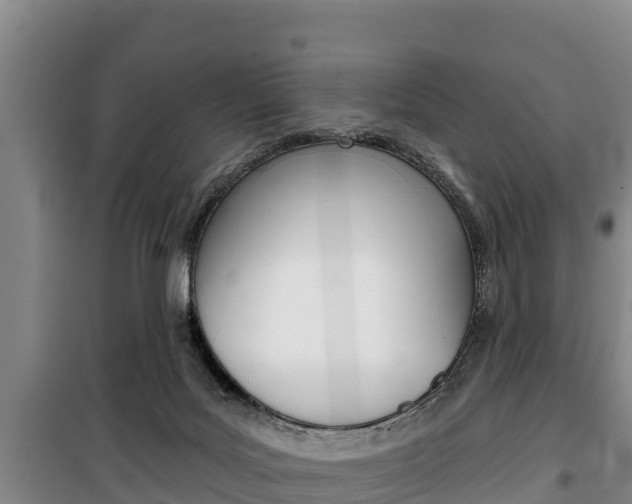 X0000100360027200806060833