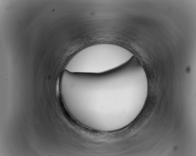 X0000100360028200806060833