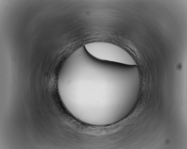 X0000100360029200806060833