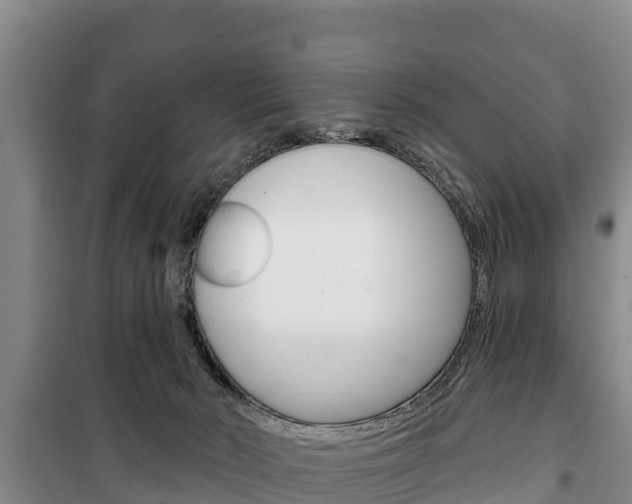 X0000100360030200806060833