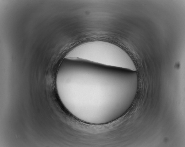 X0000100360031200806060833