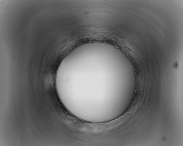 X0000100360033200806060833
