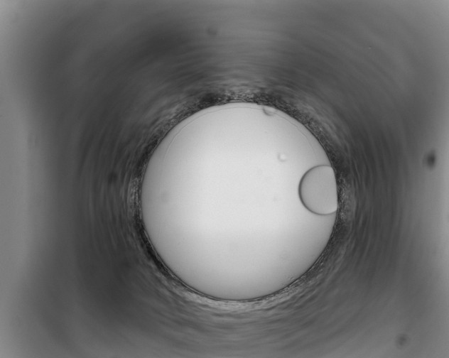 X0000100360034200806060833