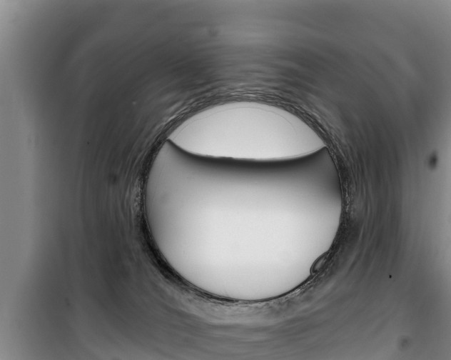 X0000100360036200806060833