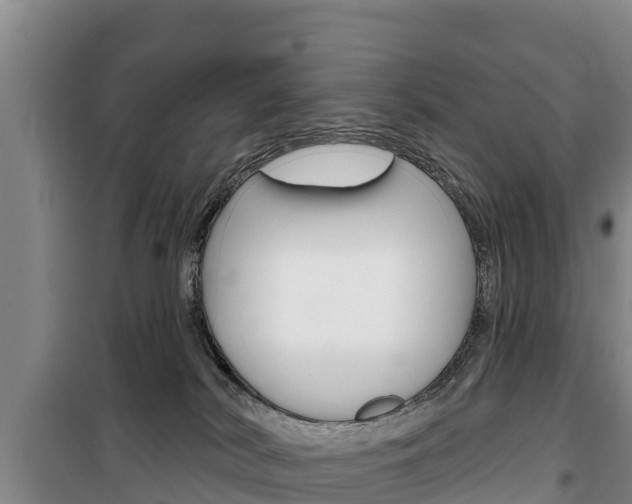 X0000100360038200806060833