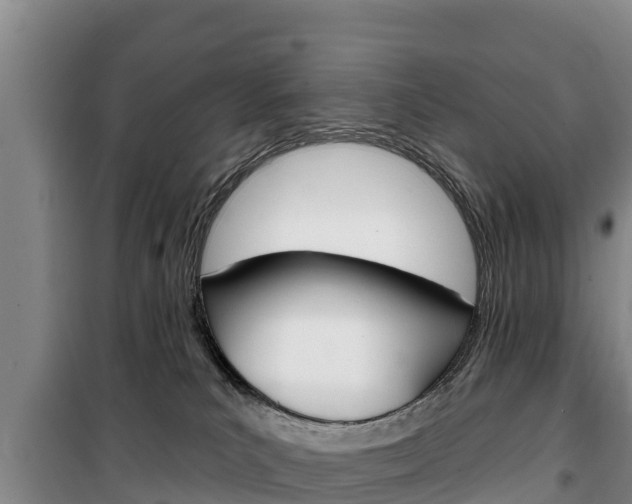 X0000100360039200806060833