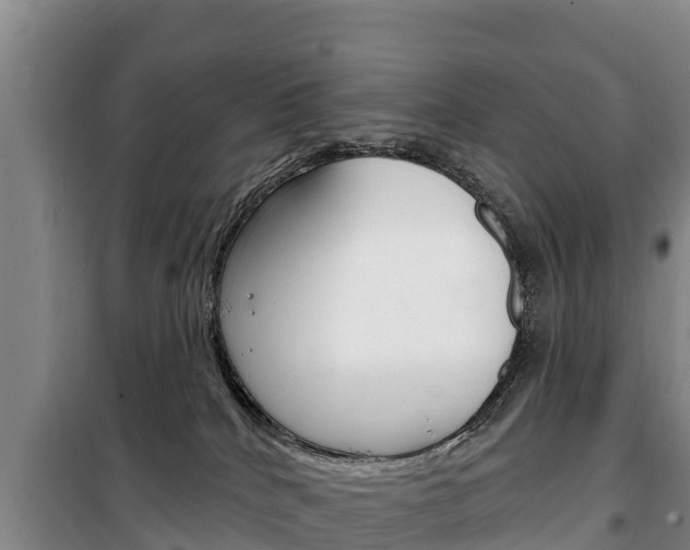 X0000100360040200806060833