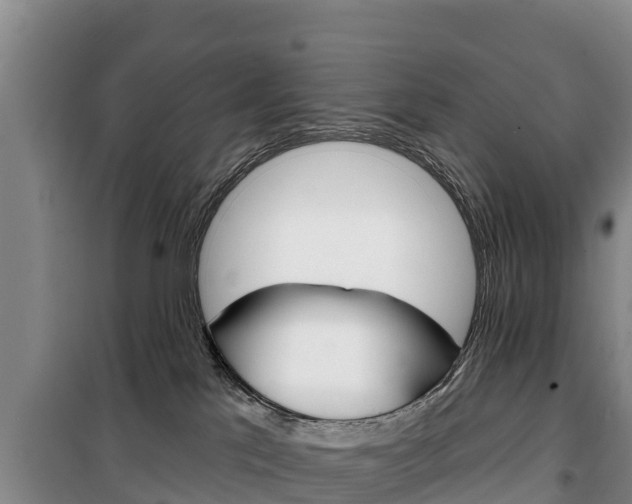 X0000100360041200806060833