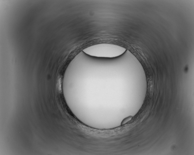 X0000100360042200806060833