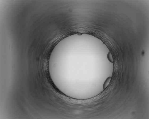 X0000100360043200806060833
