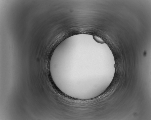 X0000100360044200806060833