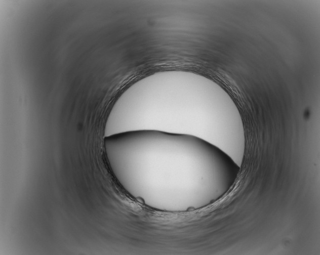 X0000100360045200806060833