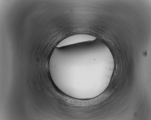 X0000100360048200806060833