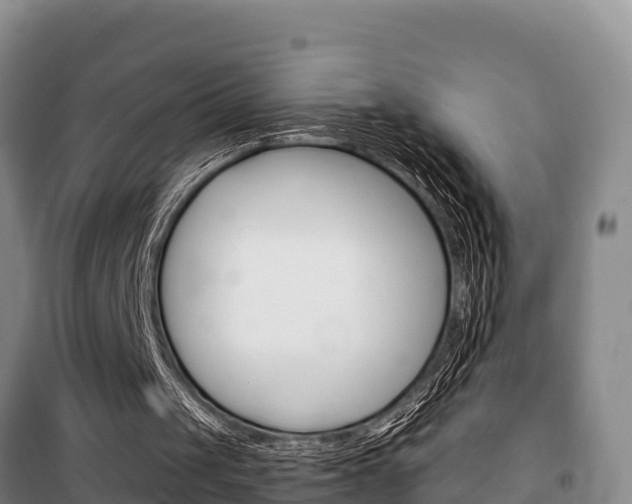 X0000100360049200806060832