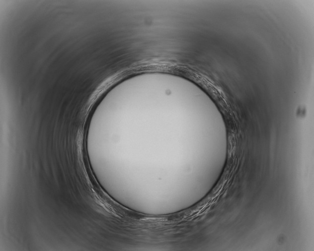 X0000100360051200806060832