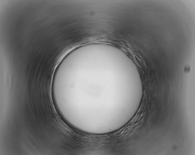 X0000100360052200806060832