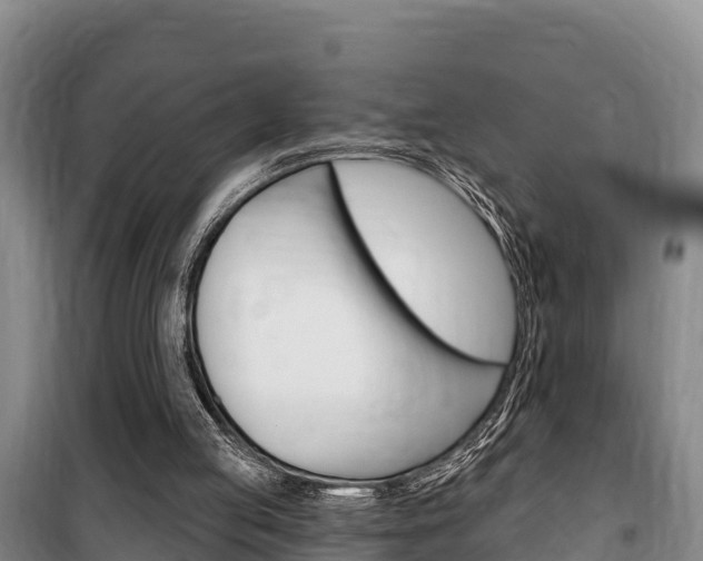 X0000100360053200806060832