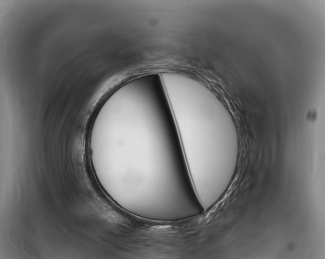 X0000100360054200806060832