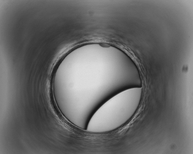 X0000100360055200806060832