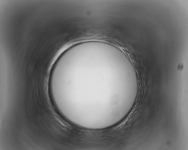 X0000100360056200806060832