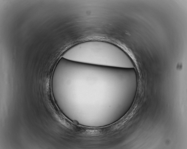 X0000100360057200806060832