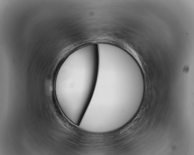 X0000100360059200806060832