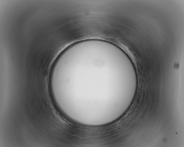 X0000100360060200806060832