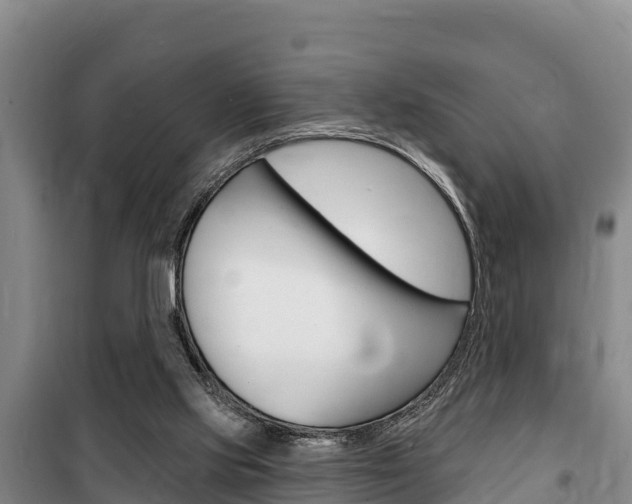 X0000100360061200806060832