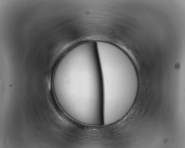 X0000100360062200806060832