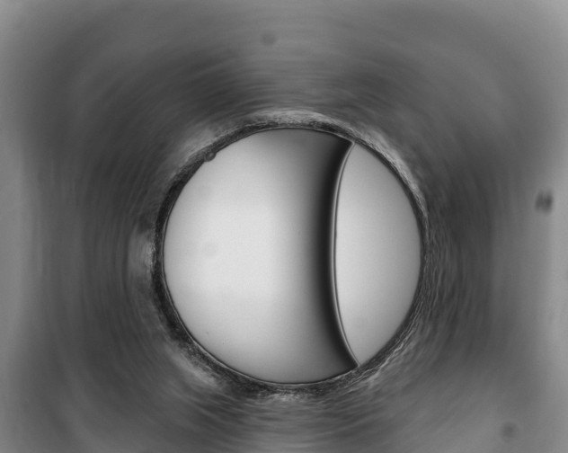 X0000100360063200806060832