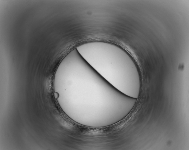 X0000100360065200806060832